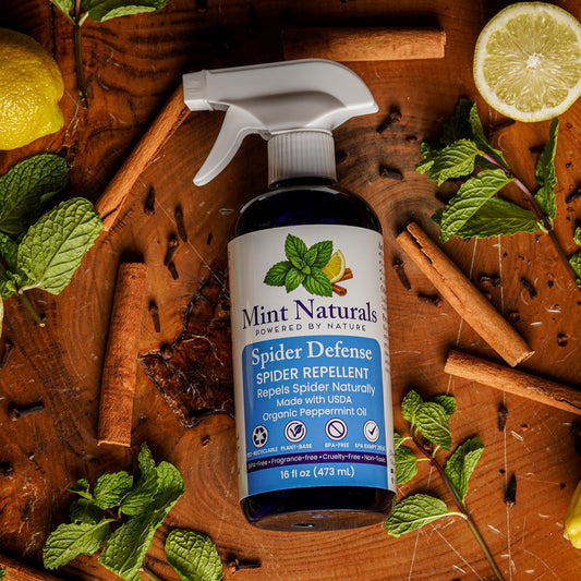 Mint Naturals – Spider Defense | Spider Repellent Spray