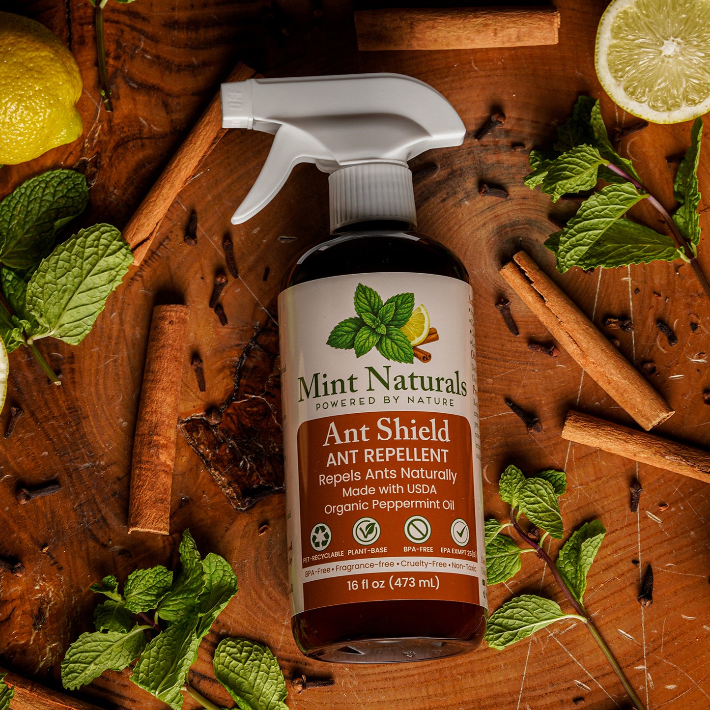 Mint Naturals – Ant Shield | Ant Repellent Spray